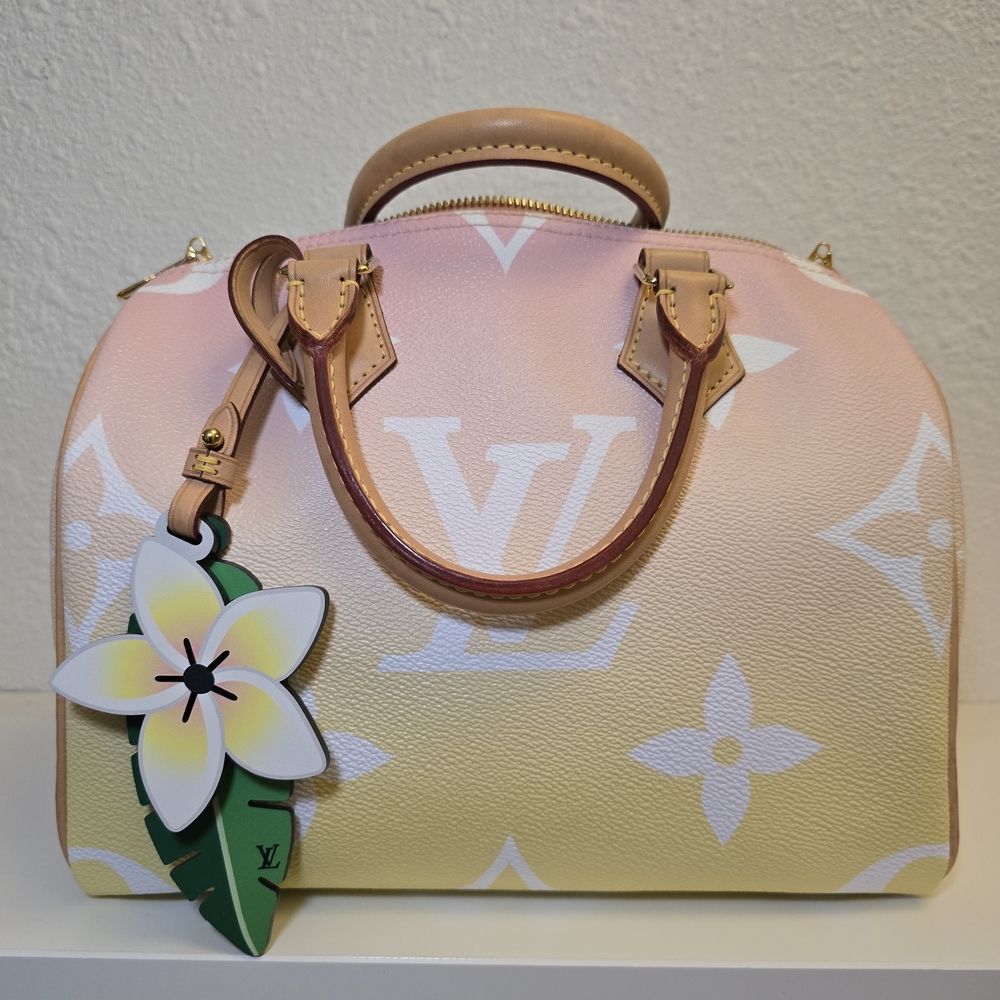 Authentic Louis Vuitton Pink and Yellow Women's Bag